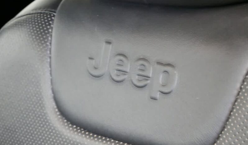 
 Jeep Cherokee full									