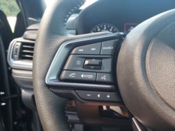 Subaru Forester full