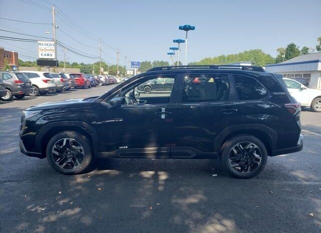 
 Subaru Forester full									
