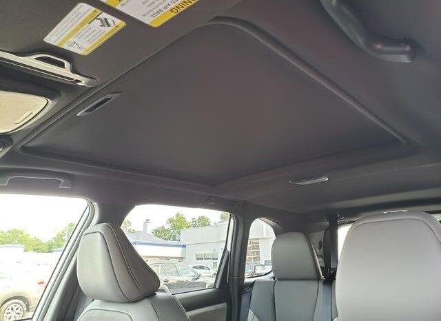 
 Subaru Forester full									
