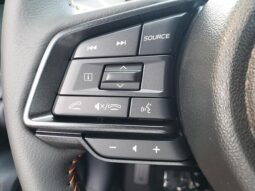 Subaru Crosstrek full