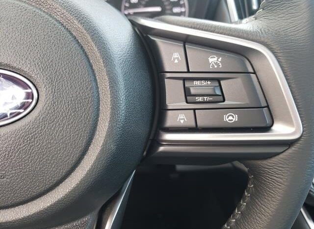 
 Subaru Outback full									