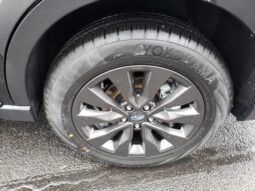 Subaru Outback full