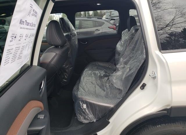 
 Subaru Forester full									