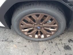 Subaru Forester full