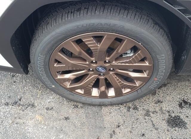 
 Subaru Forester full									