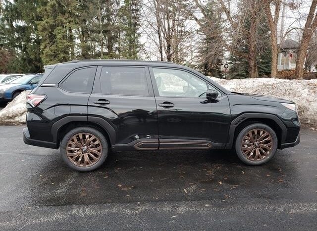 
 Subaru Forester full									