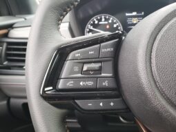 
 Subaru Forester full									