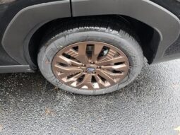 
 Subaru Forester full									