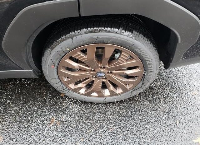 
 Subaru Forester full									