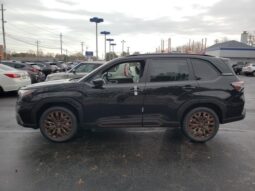 
 Subaru Forester full									