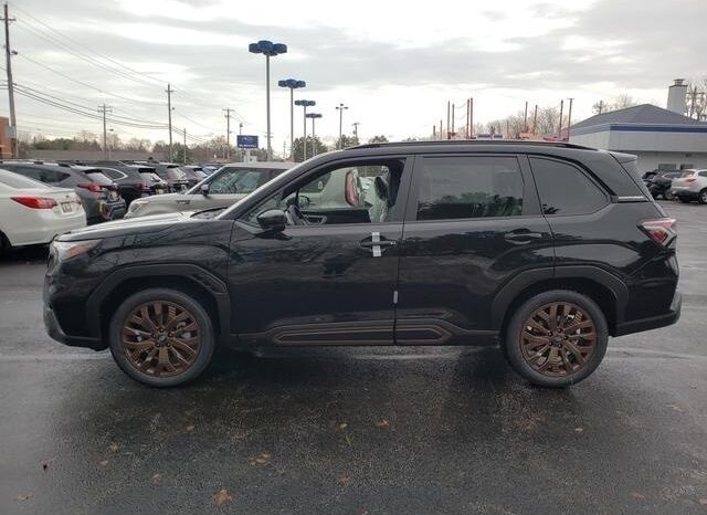 
 Subaru Forester full									
