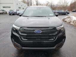 
 Subaru Forester full									