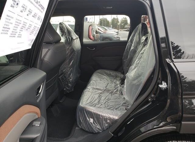 
 Subaru Forester full									