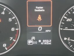 
 Subaru Crosstrek full									