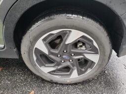 
 Subaru Crosstrek full									