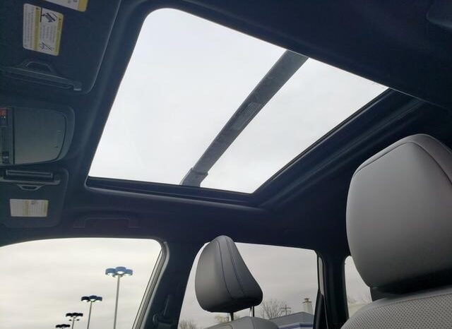 
 Subaru Forester full									