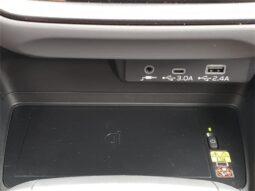 
 Subaru Crosstrek full									