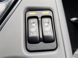 
 Subaru Crosstrek full									