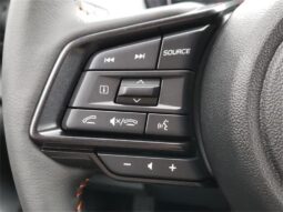
 Subaru Crosstrek full									
