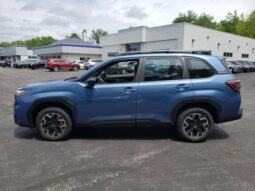 
 Subaru Forester full									