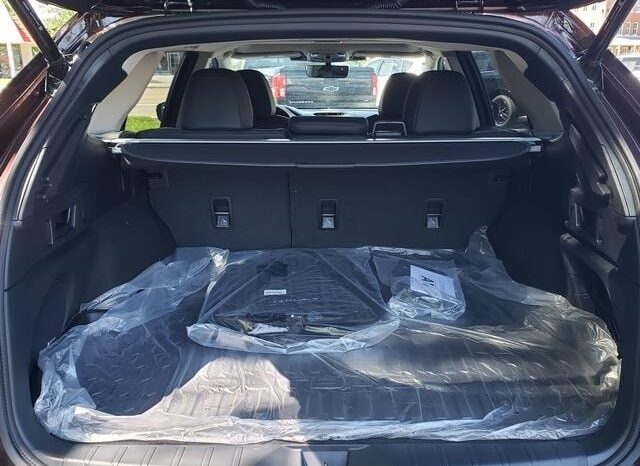 
 Subaru Outback full									