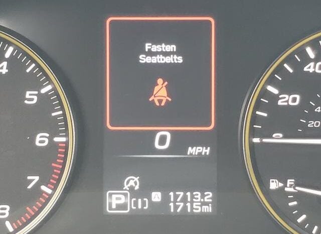 
 Subaru Crosstrek full									
