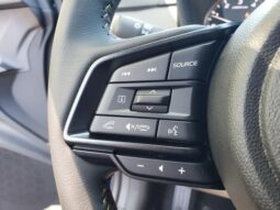 
 Subaru Crosstrek full									