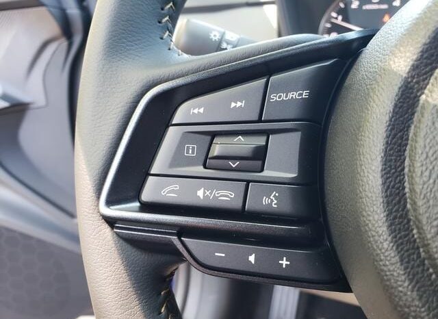 
 Subaru Crosstrek full									