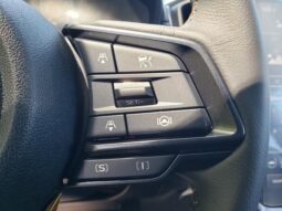 
 Subaru Crosstrek full									