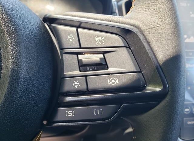 
 Subaru Crosstrek full									