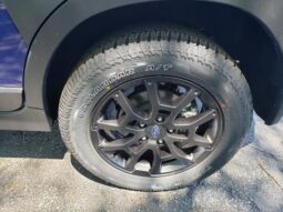 
 Subaru Crosstrek full									