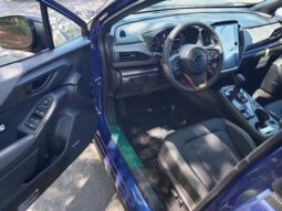 
 Subaru Crosstrek full									