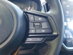 
 Subaru Crosstrek full									