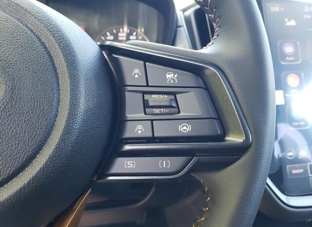 
 Subaru Crosstrek full									