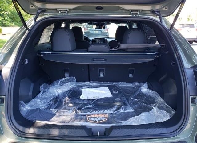 
 Subaru Crosstrek full									