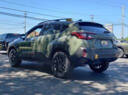 
 Subaru Crosstrek full									