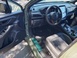 
 Subaru Crosstrek full									