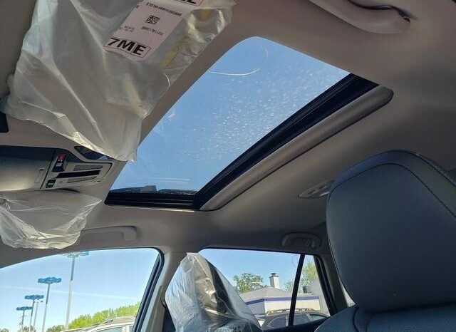 
 Subaru Outback full									