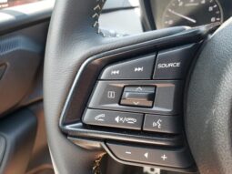 
 Subaru Crosstrek full									
