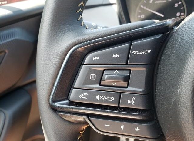 
 Subaru Crosstrek full									