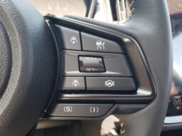 
 Subaru Crosstrek full									