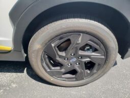 
 Subaru Crosstrek full									