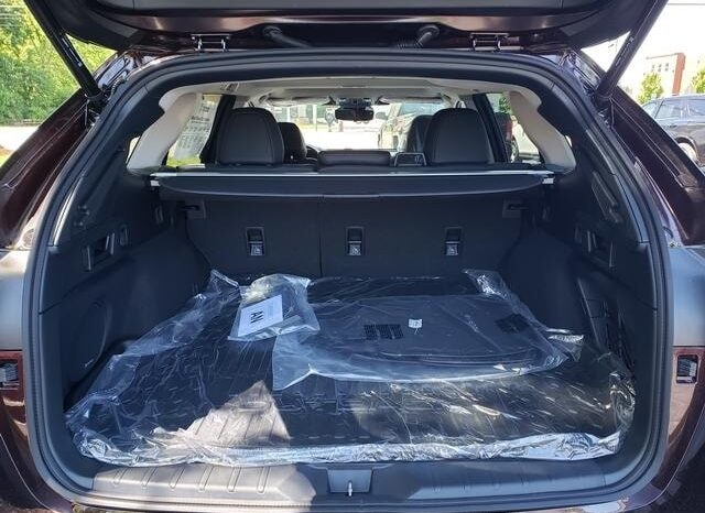 
 Subaru Outback full									