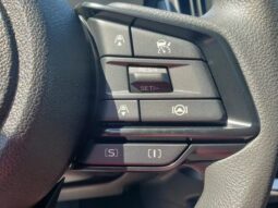 
 Subaru Crosstrek full									