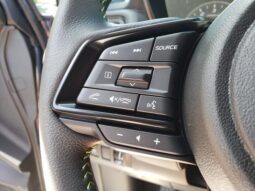 
 Subaru Ascent full									