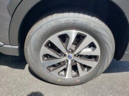 
 Subaru Outback full									