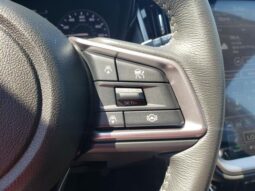 
 Subaru Outback full									