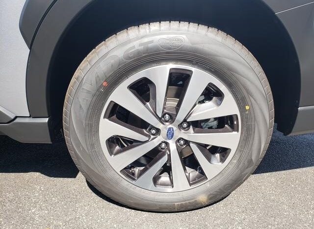 
 Subaru Outback full									