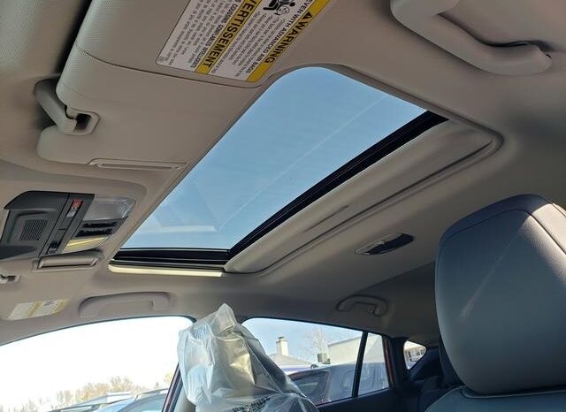 
 Subaru Crosstrek full									